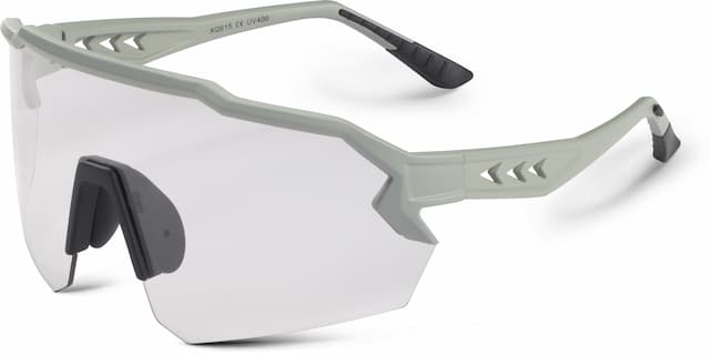 Очки STS 615 Photochromic серый